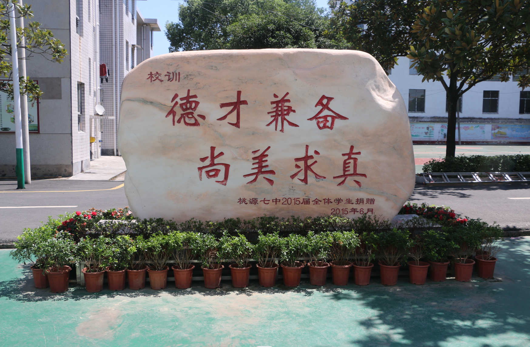 企业微信截图_17036670068462.png